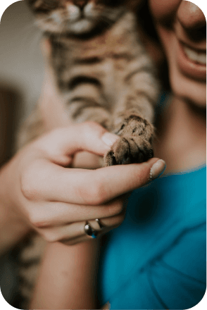 meow