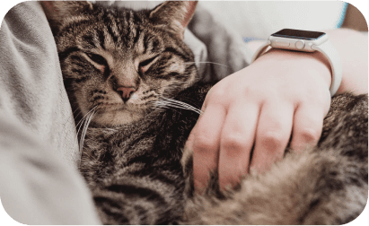 meow